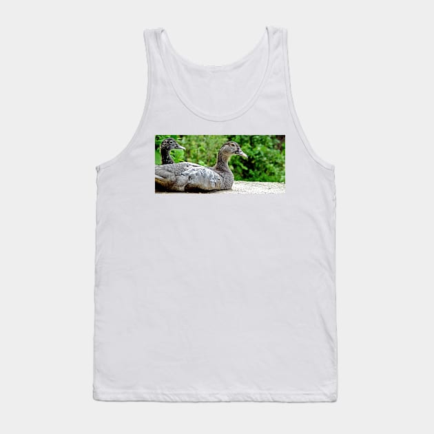 olb duck Tank Top by pcfyi